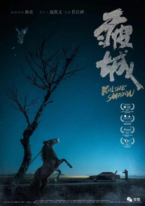 南部联邦大学商科文凭证书